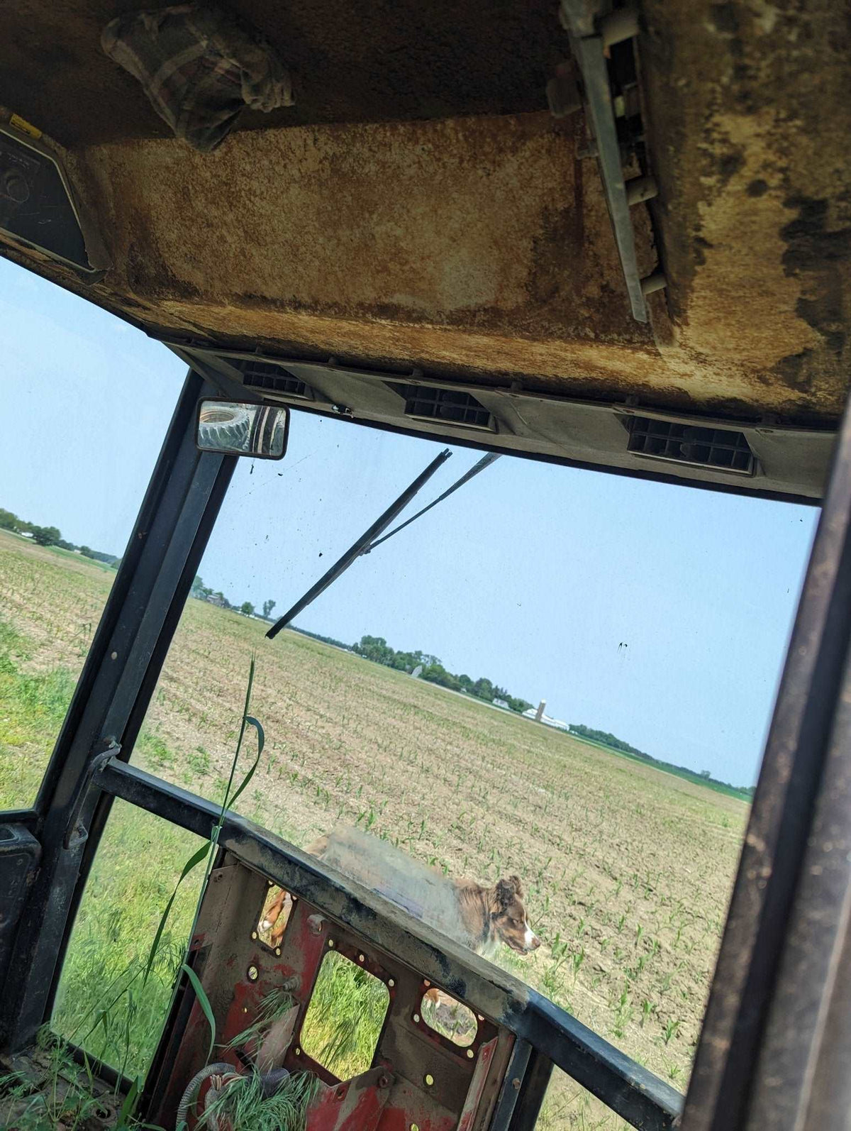 86 Series Cab IH International 1267539C91 USED - Hines Equipment Repair & Parts