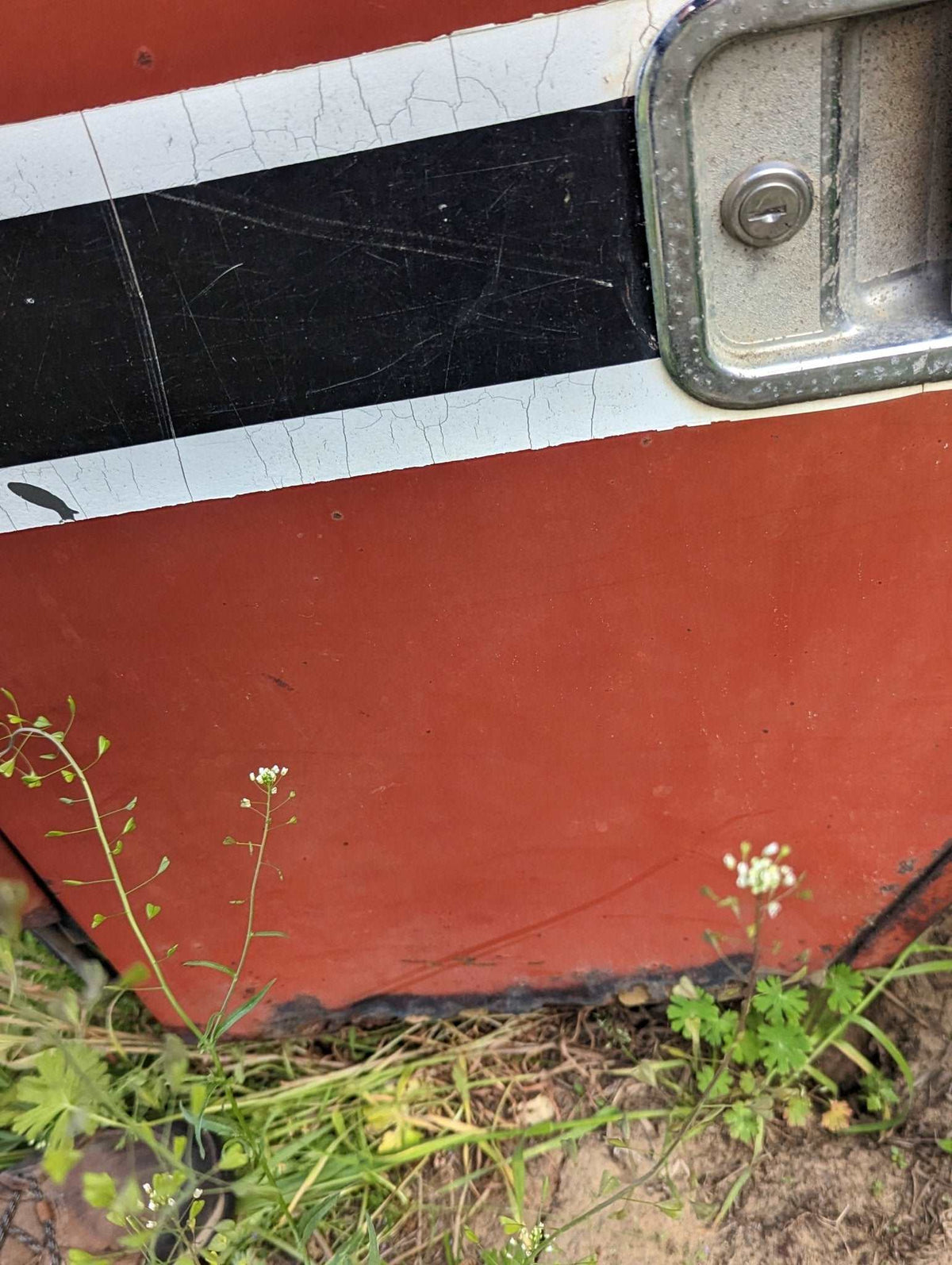 86 Series Cab IH International 1267539C91 USED - Hines Equipment Repair & Parts