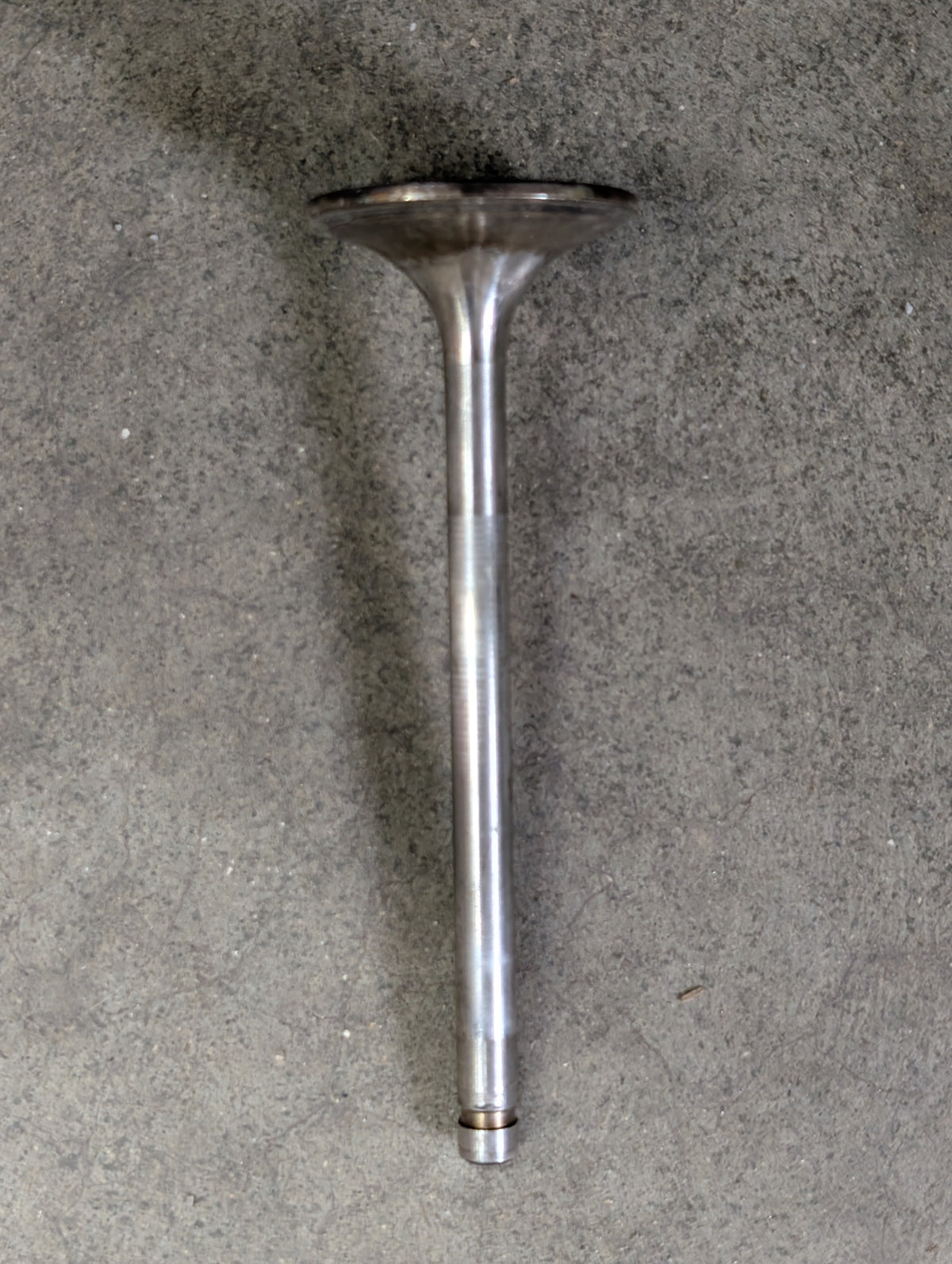 Intake Valve IH International 675046C1 USED