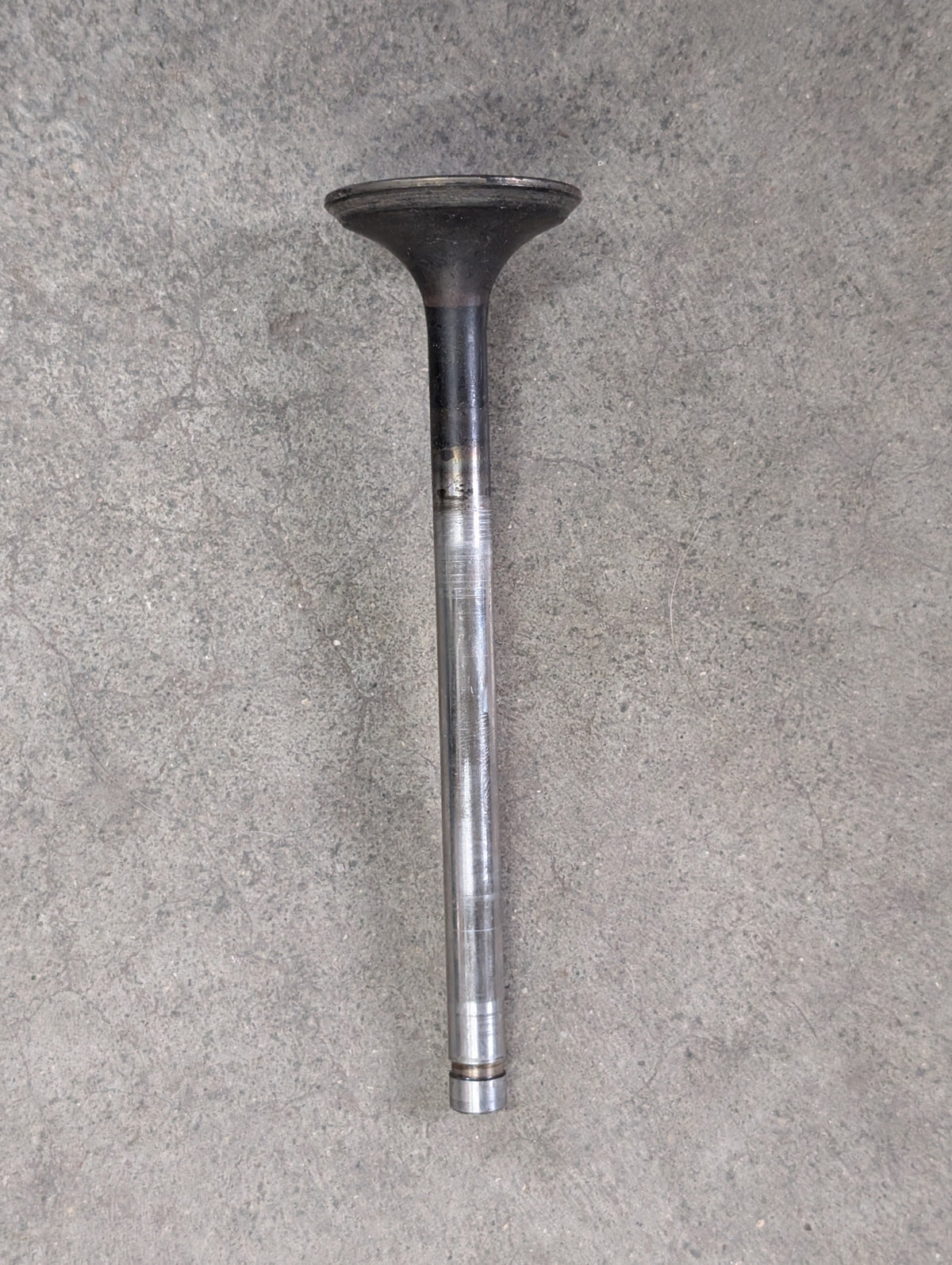 Exhaust Valve IH International 675047C1 USED