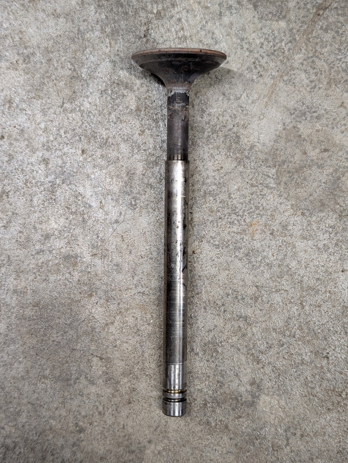 STD Exhaust Valve IH International 341350R1 USED