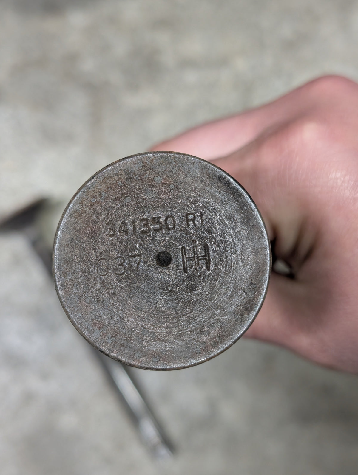 STD Exhaust Valve IH International 341350R1 USED