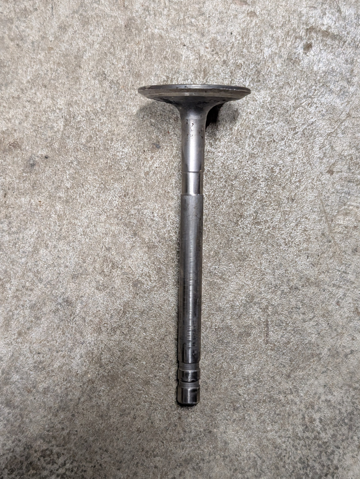 Intake Valve IH International 234276R1 USED