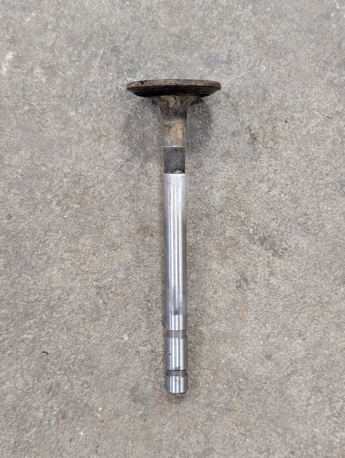 Exhaust Valve IH International 372699R3 USED