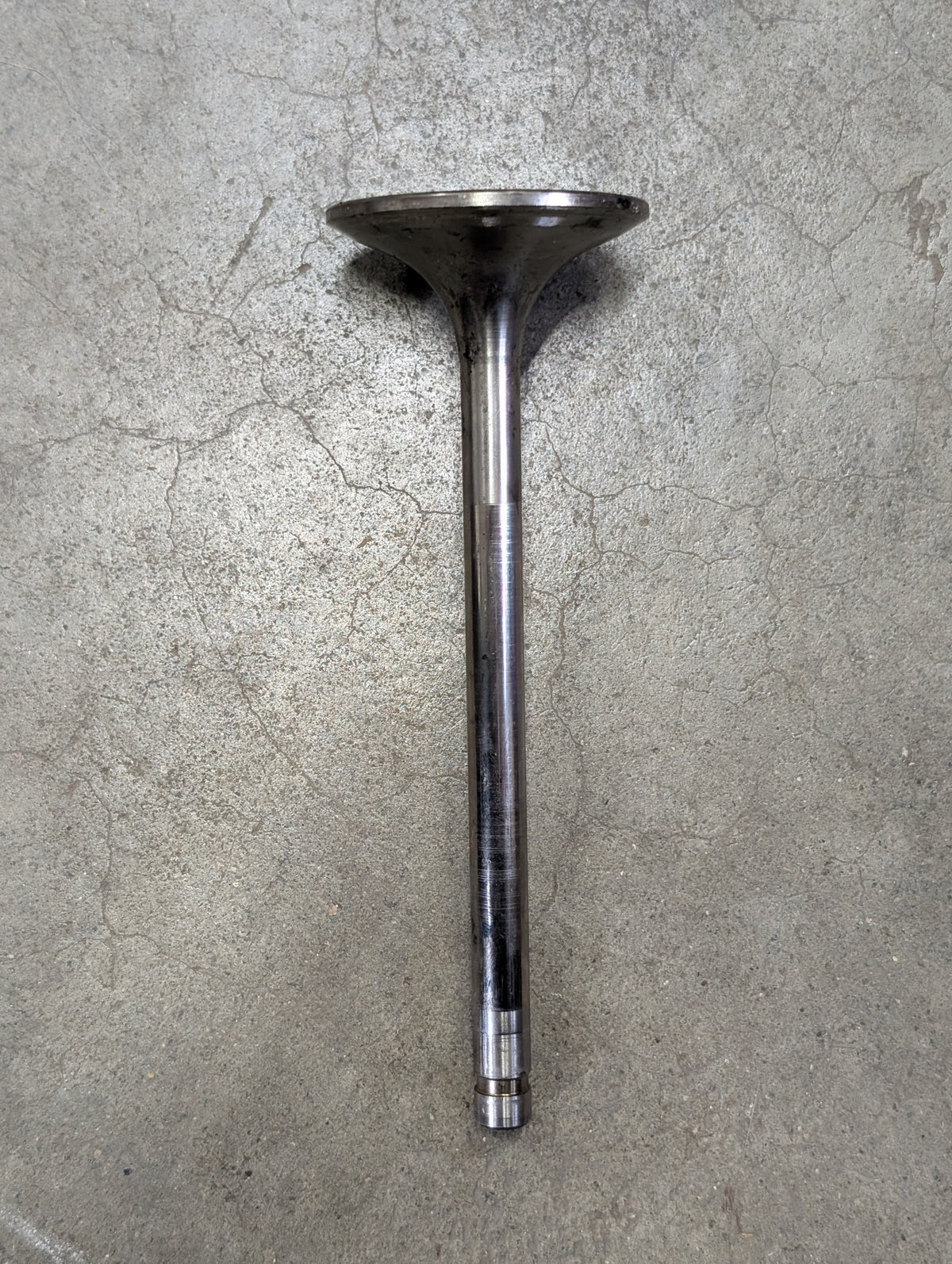 Intake Valve IH International 675046C2 USED