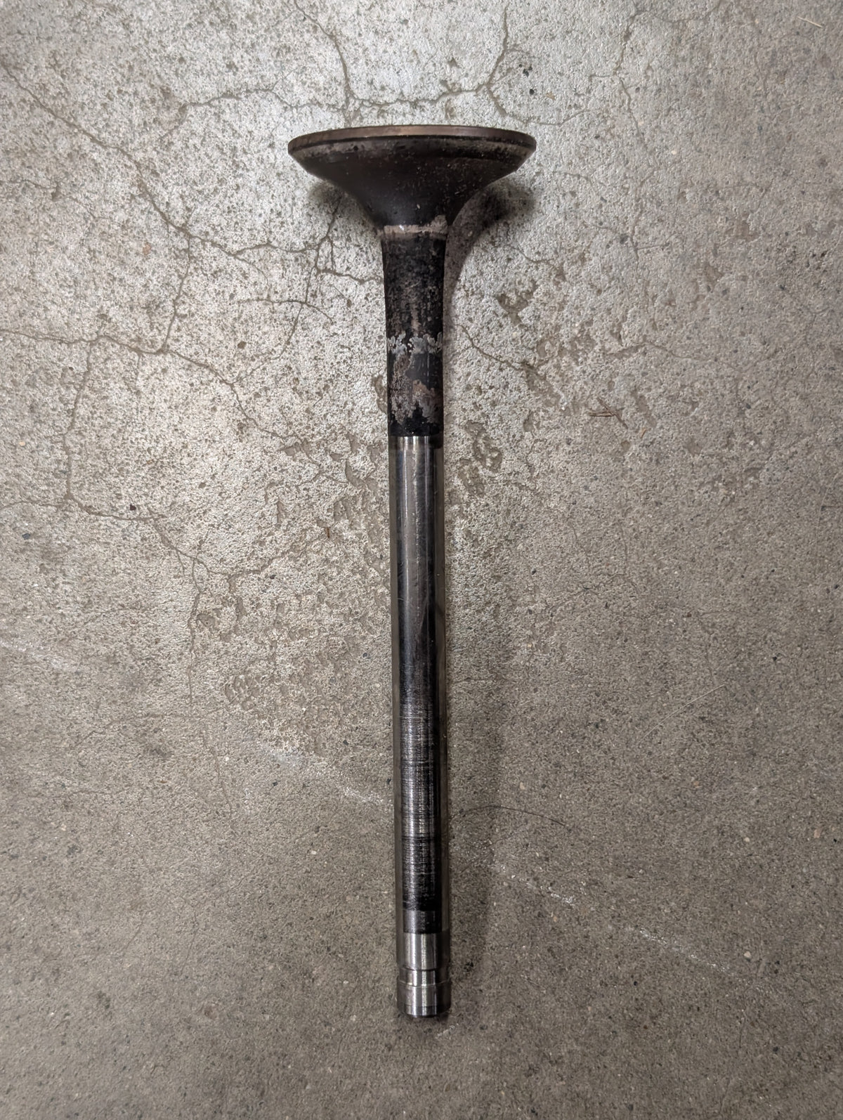 Exhaust Valve IH International 676865C4 USED