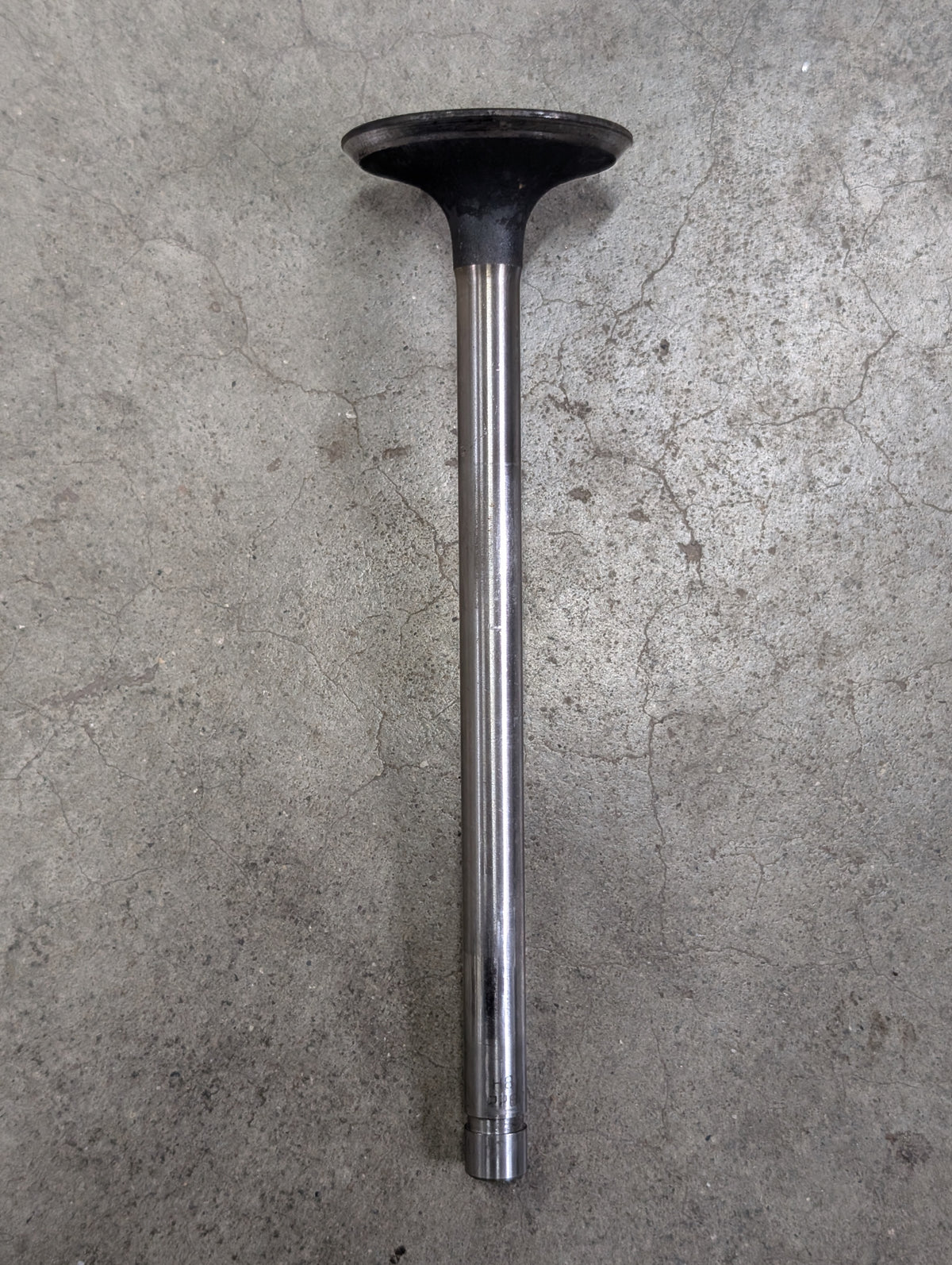 Intake Valve IH International 323774R1 USED