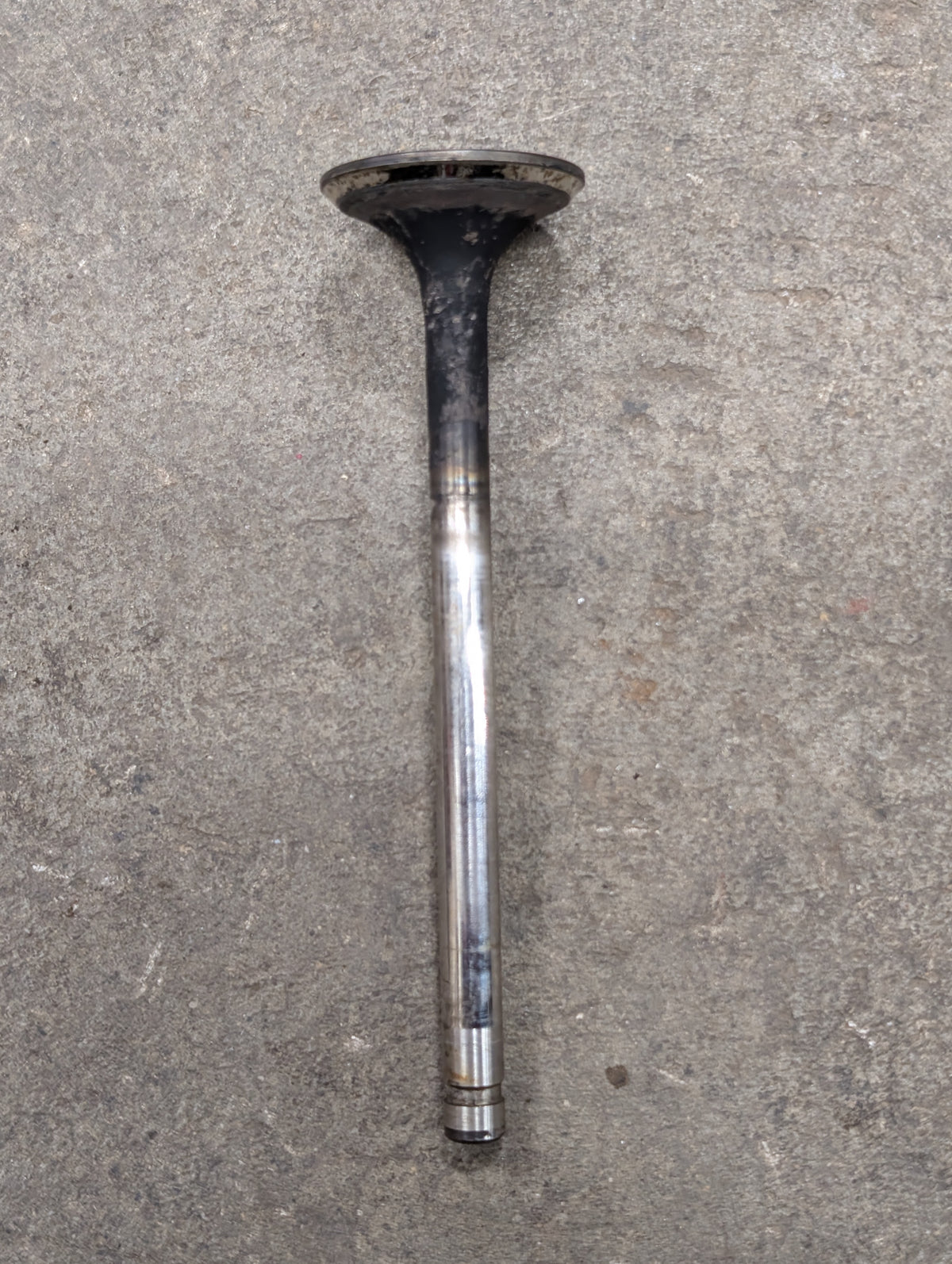 Exhaust Valve IH International 675047C2 USED
